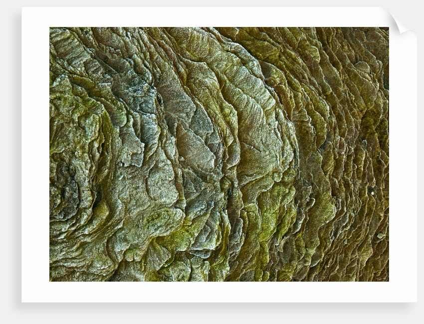 Frosty rock surface by Assaf Frank